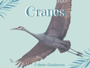 Crane flying